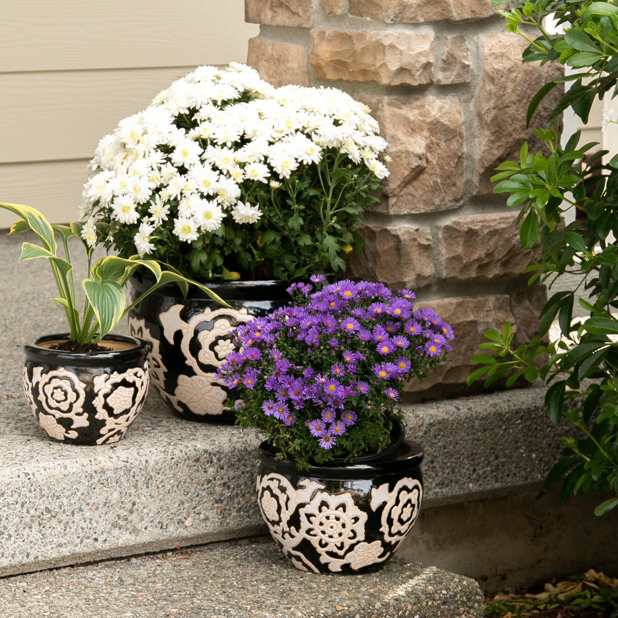 Floral Nights Ceramic Planter Set